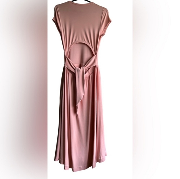 Wilfred Aritzia Oxymore Blush Midi Dress Size Medium - Picture 4 of 7
